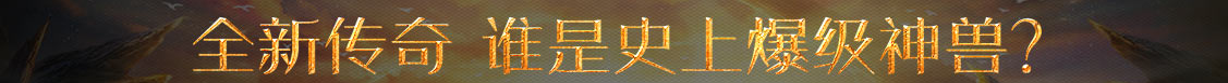 期权分析网